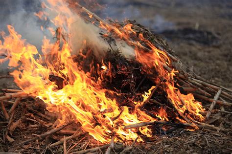 Burning Yard Waste and Your Asthma - Breathe PA