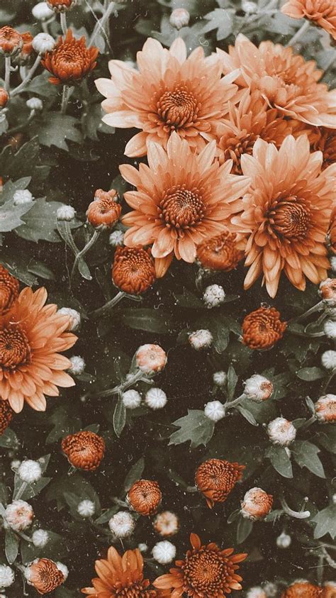 Vintage flower aesthetic HD phone wallpaper | Pxfuel