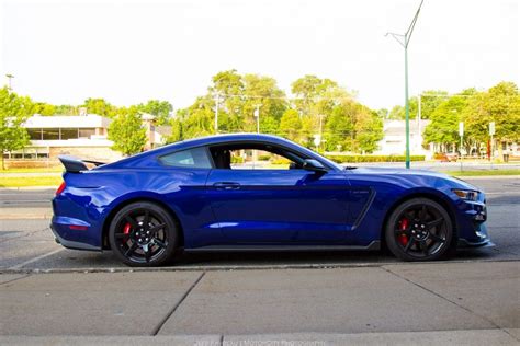 Blue Mustang Colors - The Ultimate Guide