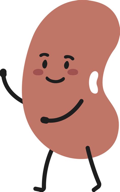 Kidney bean cartoon vector free download