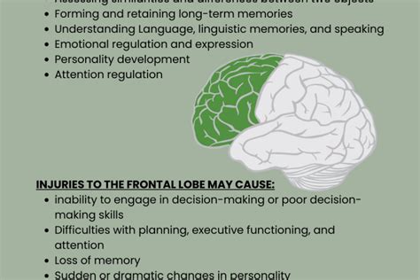 Frontal Lobe Functions - Life After Stroke - American Stroke Foundation