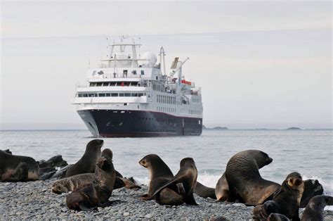 Enjoy Luxury Antarctica Cruises | Silversea