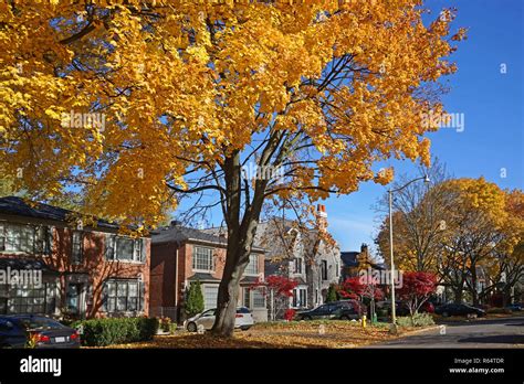 suburban street with fall colors Stock Photo - Alamy