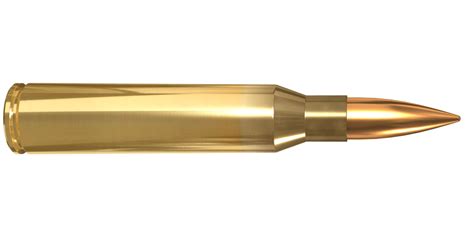 Bullets PNG image