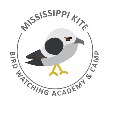 Mississippi Kite - Bird Watching Academy