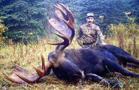 Alaska Moose Hunting Guides - Hidden Alaska Guides and Outfitters