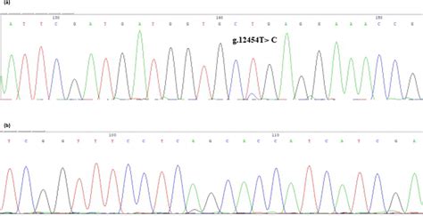 Sequencing of the SNP of cattle SPARC gene. Note that the sequence test ...