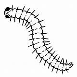 Centipede coloring page ♥ Print And Online Free sketch template
