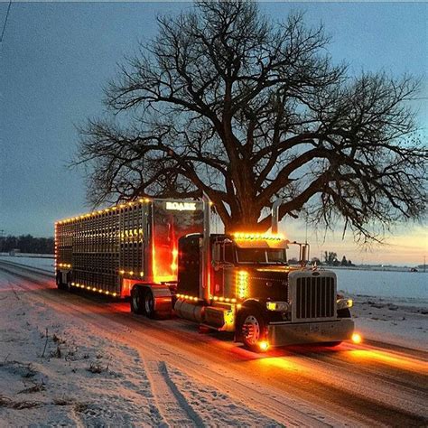 Semitrckn — Peterbilt custom 379 bull hauler