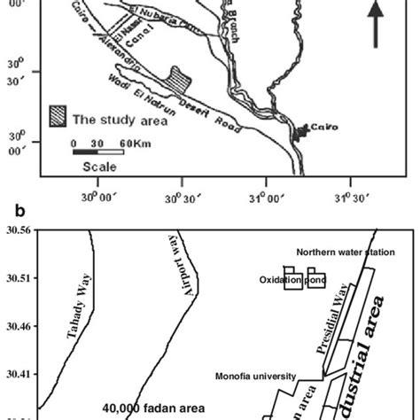 a Location map of El-Sadat City and b sketch of El-Sadat City and its... | Download Scientific ...