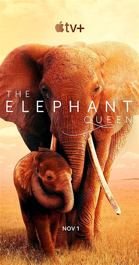 The Elephant Queen (2019) Directed by Mark Deeble, Victoria Stone. With Chiwetel Ejiofor. Athena ...