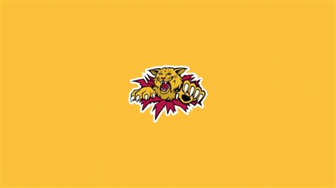 Moncton Wildcats Standings - FloHockey - Hockey