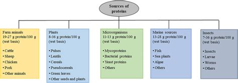 Primary sources of proteins. Source: Adapted from Munialo et al. (2022). | Download Scientific ...