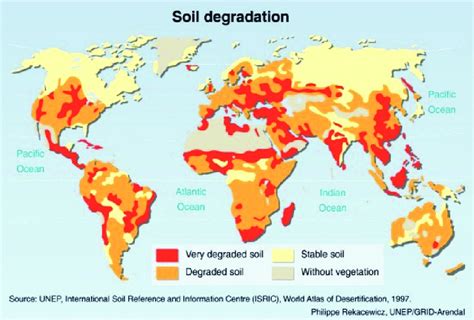 Soil Map Of World