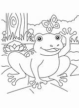80 Frog Coloring Pages  ColoringPagesOnlycom sketch template