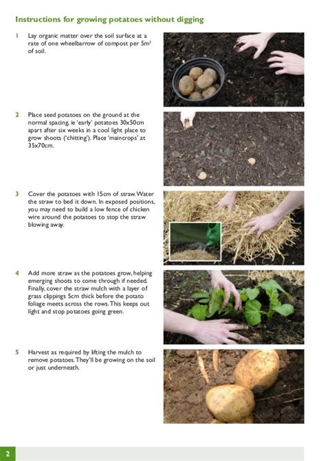 Growing Potatoes without Digging ~ Teacher Guide, Organic Gardening ~ United Kingdom