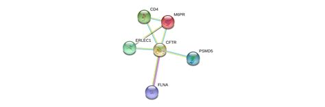 CFTR Gene - GeneCards | CFTR Protein | CFTR Antibody