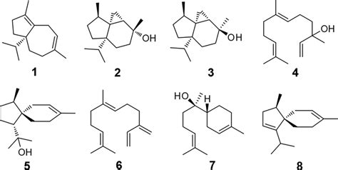 Structures of sesquiterpenes 1−8 produced by FgFS. | Download Scientific Diagram