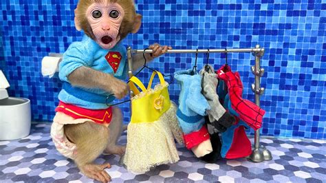 Cute Baby Monkeys In Clothes