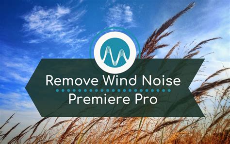 How to Remove Wind Noise in Premiere Pro