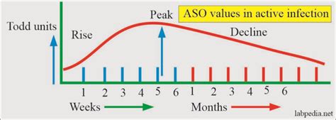 ASO Titer (Antistreptolysin O titer) - Labpedia.net