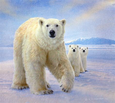 "polar bear family" by R Christopher Vest | Redbubble