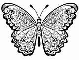 67 Beautiful Butterfly Coloring Pages For Kids And Adults  Our Mindful sketch template