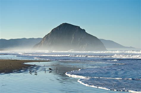 Sunday, December 11: Birds and Tide Pools of Morro Bay and Montaña de Oro