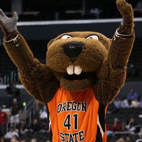 Pac-12 Basketball: Oregon State Beavers Looking to Surpass Expectations | Bleacher Report ...