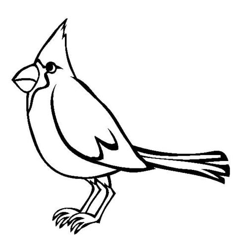 Cardenal Dibujo para colorear, imprimir e dibujar –ColoringOnly.Com