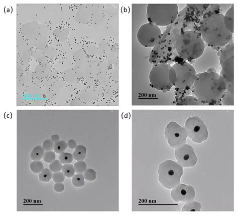 Tracking Nanoplastics in the Environment: A Breakthrough Method - Science Emerge