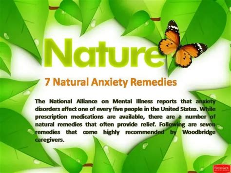 PPT - Bach Flower Remedies for Anxiety - www.thebachflowerremedies.com PowerPoint Presentation ...