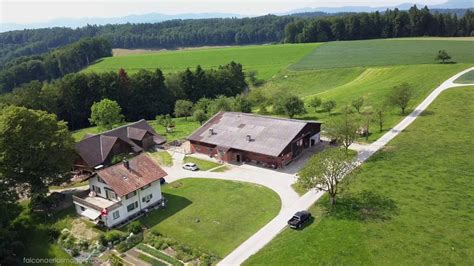 A picturesque Swiss farm in early summer! - YouTube