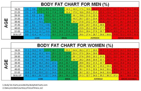 Body Fat Calculator - Find Your Body Fat Percentage