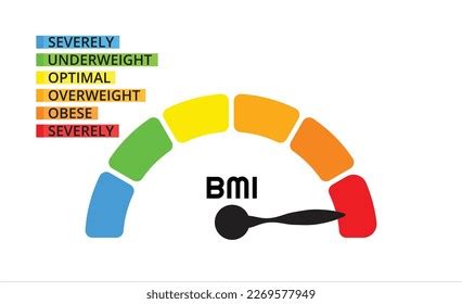 Bmi Categories Chart Body Mass Index Stock Vector (Royalty Free ...