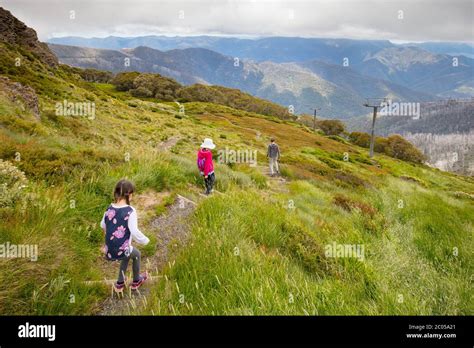 Mount Buller Walking Trails in Australia Stock Photo - Alamy