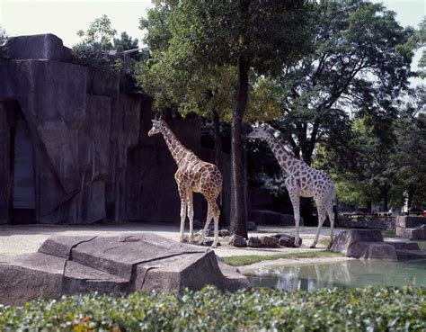 Milwaukee County Zoo - Encyclopedia of Milwaukee