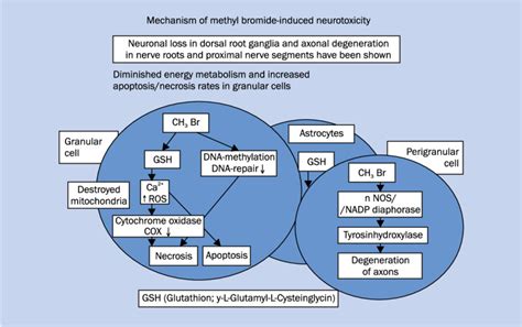 Beware of the methyl bromide, a pest’s worst nightmare | greene.1104's Blog