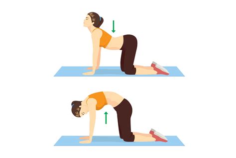 6 Best Yoga Poses You Should Concern For Period And PMS