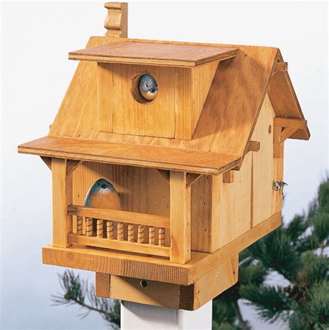 25 Free Bird House Plans to Welcome Feathered Friends to Your Garden • Insteading