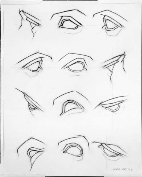 Eyes at different angles | Realistic drawings, Anatomy art, Anatomy drawing