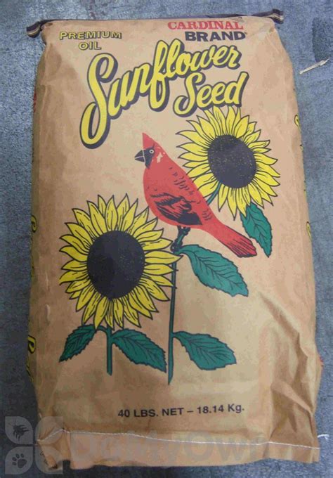 Songbird Essentials Sunflower Bird Seed 40 lb. (SEEDBO40)