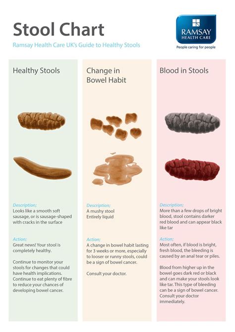 What Your Poop Says About Your Health Vegan Cake Easy, Stool Chart, Healthy Red, Healthy Vegan ...