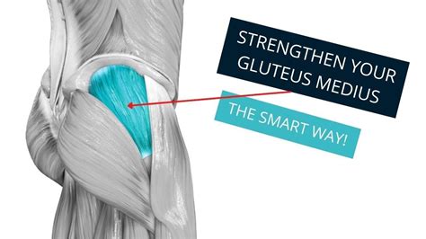 Exercises to Strengthen the Gluteus Medius for Hip and Back Pain.