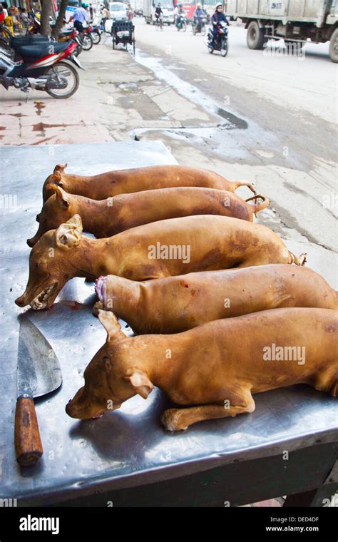 Dog meat sale. Hanoi. Vietnam Stock Photo - Alamy