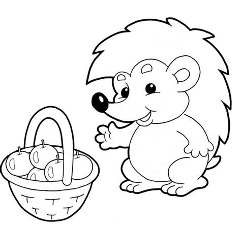 Hedgehog Coloring Pages - Best Coloring Pages For Kids