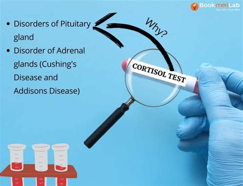 Cortisol Test Price, Purpose, Timing & Results [2024] • Bookmerilab