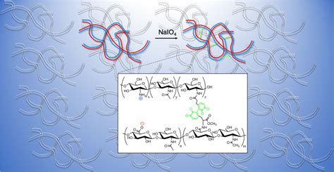 Biomolecules | Free Full-Text | Rheology and Gelation of Hyaluronic Acid/Chitosan Coacervates