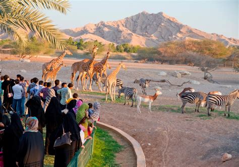 Al Ain Zoo Hits Record of Sustainable Emirati Employment - Green Prophet