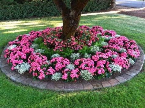 For Sale Domain | Annual flower beds, Landscaping around trees, Front ...